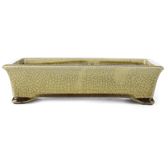 Maceta de bonsái rectangular beige craquelé de Terahata Satomi Mazan - 300 x 207 x 75 mm