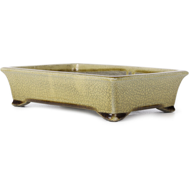Pot à bonsaï rectangulaire beige craquelé par Terahata Satomi Mazan - 300 x 207 x 75 mm