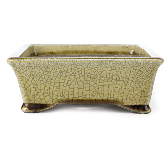 Vaso bonsai craquelé beige rettangolare di Terahata Satomi Mazan - 300 x 207 x 75 mm