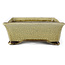 Maceta de bonsái rectangular beige craquelé de Terahata Satomi Mazan - 300 x 207 x 75 mm