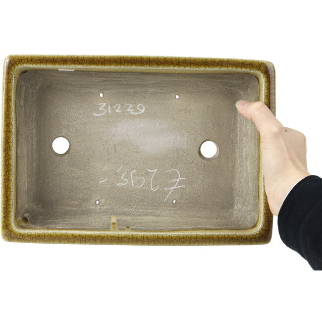 Maceta de bonsái rectangular beige craquelé de Terahata Satomi Mazan - 300 x 207 x 75 mm