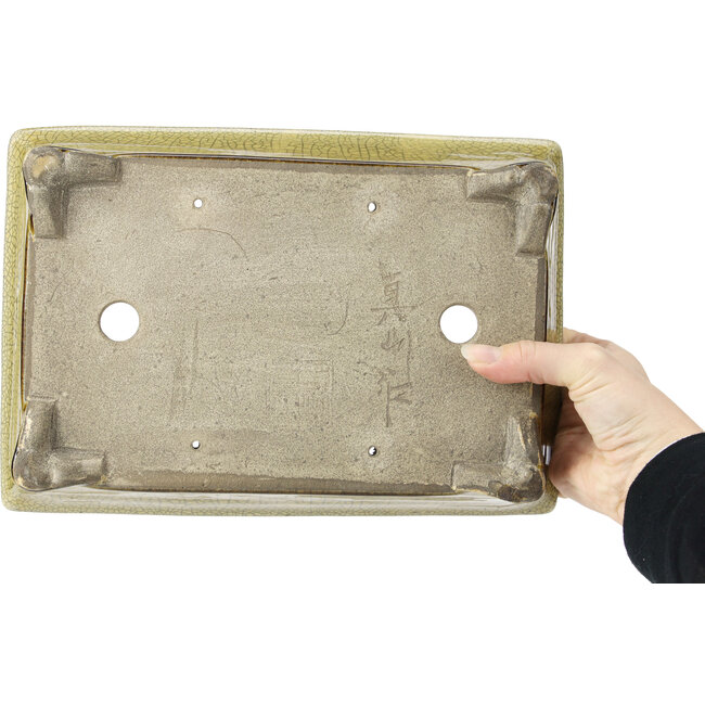 Pot à bonsaï rectangulaire beige craquelé par Terahata Satomi Mazan - 300 x 207 x 75 mm
