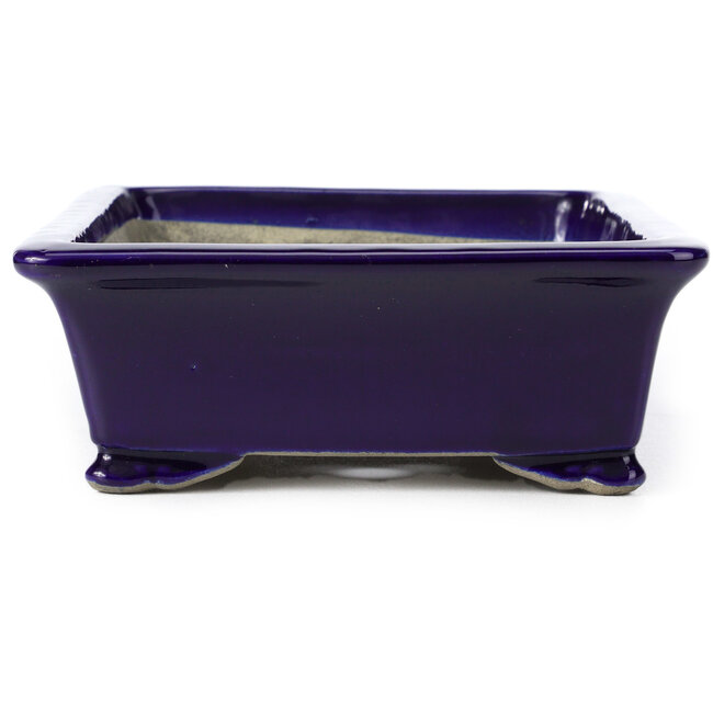 Pot à bonsaï rectangulaire bleu par Terahata Satomi Mazan - 286 x 194 x 70 mm