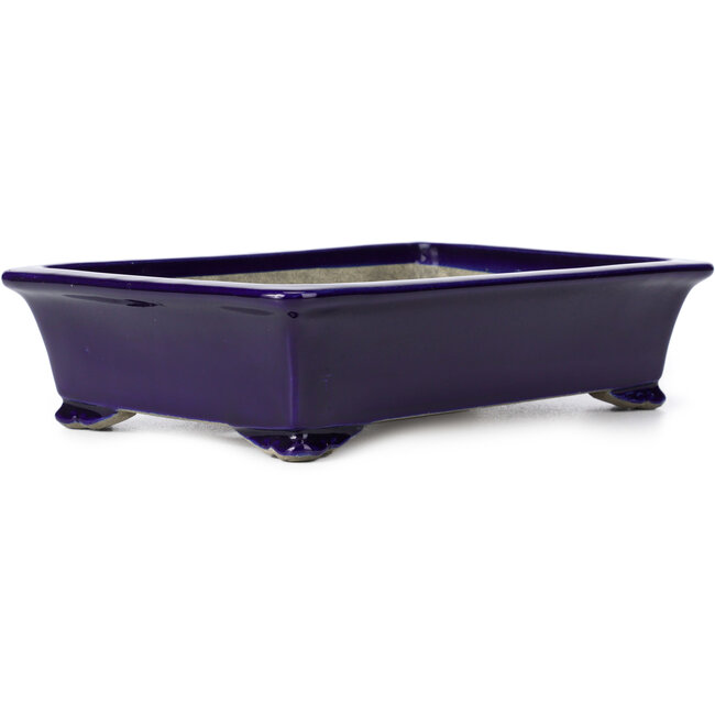 Rectangular blue bonsai pot by Terahata Satomi Mazan - 286 x 194 x 70 mm