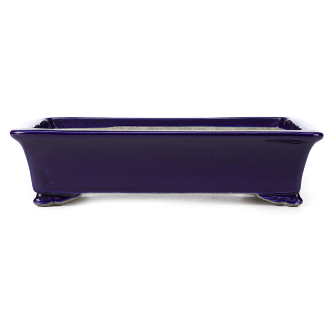 Vaso bonsai blu rettangolare di Terahata Satomi Mazan - 286 x 194 x 70 mm