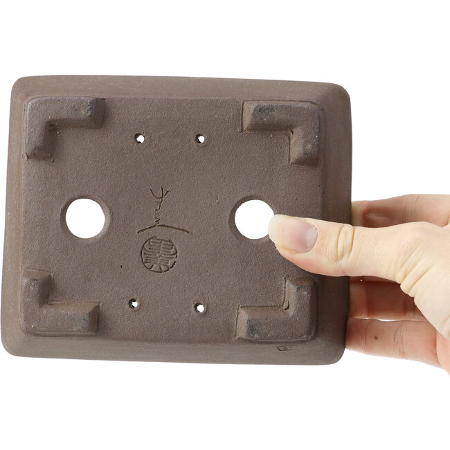 Maceta de bonsái rectangular sin esmaltar de Terahata Satomi Mazan - 150 x 124 x 55 mm