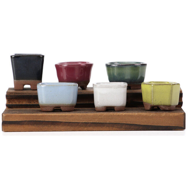 Set van 6 kleine bonsai potjes tussen 16 en 21 mm van Seto Yaki, Japan.