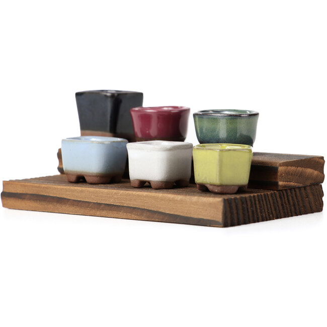 Set van 6 kleine bonsai potjes tussen 16 en 21 mm van Seto Yaki, Japan.