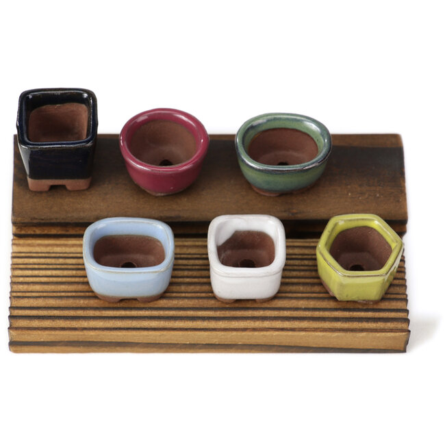 Set van 6 kleine bonsai potjes tussen 16 en 21 mm van Seto Yaki, Japan.