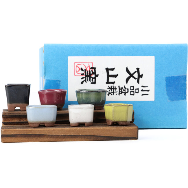 Set of 6 small bonsai pots between 16 and 21 mm from Seto Yaki, Japan.