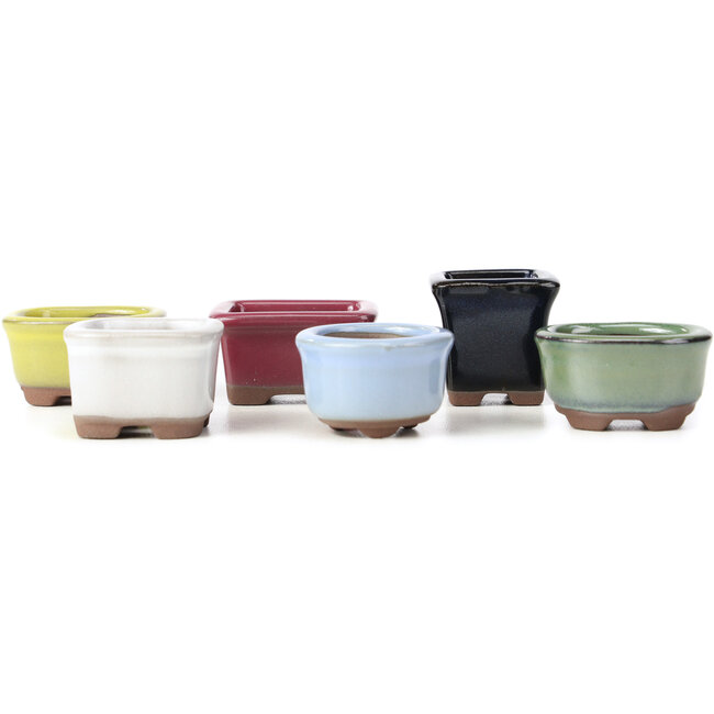 Set of 6 small bonsai pots between 30 and 39 mm from Seto Yaki, Japan.