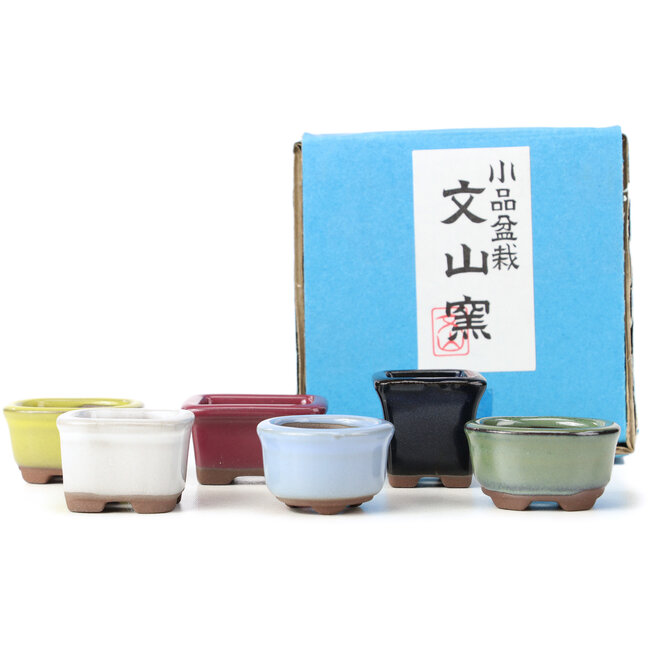 Set aus 6 kleinen Bonsaischalen zwischen 30 und 39 mm von Seto Yaki, Japan.