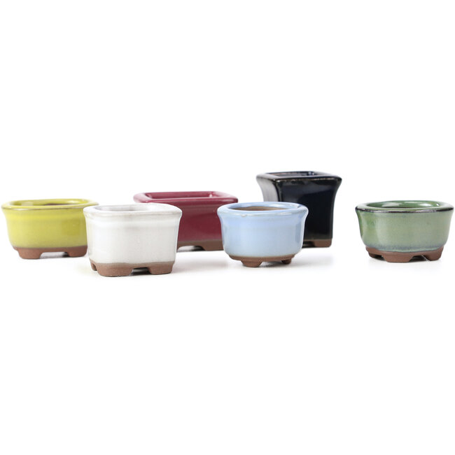 Ensemble de 6 petits pots à bonsaï entre 30 et 39 mm de Seto Yaki, Japon.