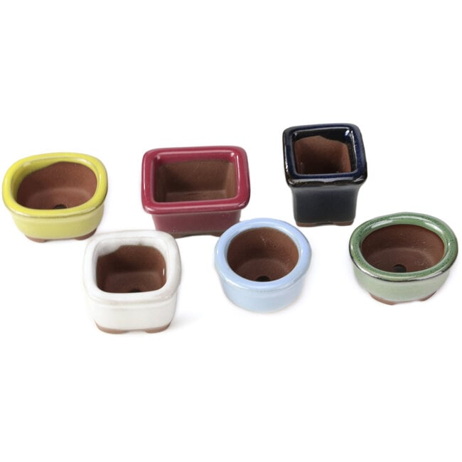 Set di 6 piccoli vasi per bonsai tra 30 e 39 mm da Seto Yaki, Giappone.