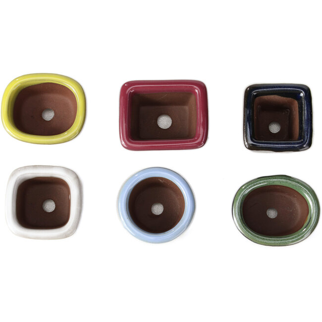 Set de 6 macetas pequeñas de bonsái de entre 30 y 39 mm de Seto Yaki, Japón.