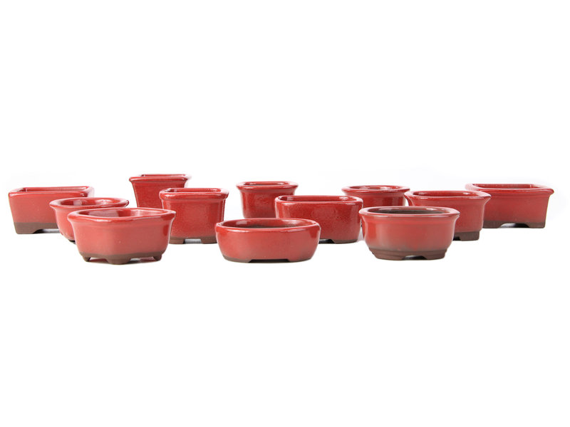 Seto Yaki Set of 12 small red bonsai pots between 40 and 55 mm from Seto Yaki, Japan.