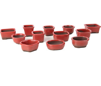 Set de 12 macetas pequeñas rojas 40 - 55 mm