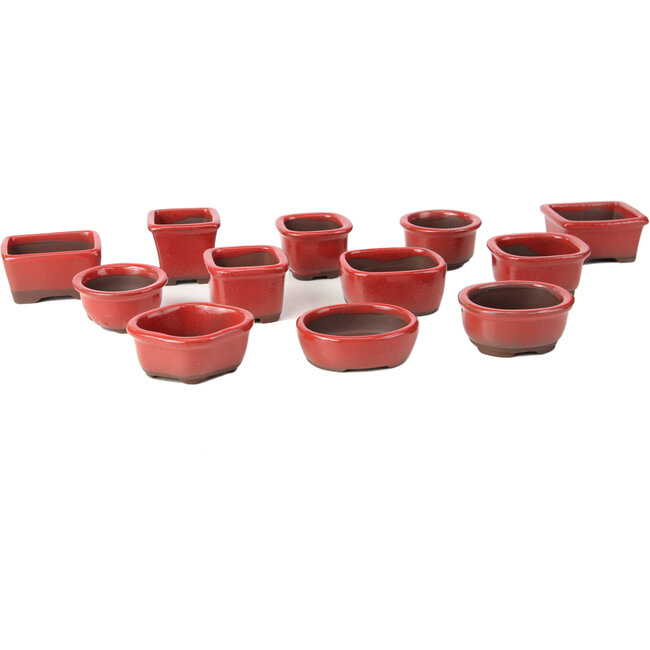Set of 12 small red bonsai pots between 40 and 55 mm from Seto Yaki, Japan.