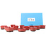 Set of 12 small red bonsai pots between 40 and 55 mm from Seto Yaki, Japan.