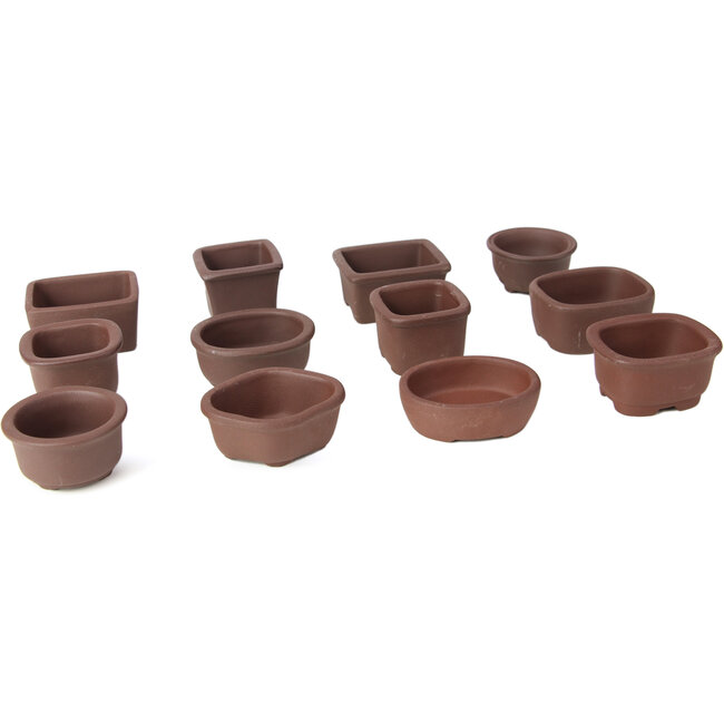 Set di 12 piccoli vasi bonsai non smaltati tra 40 e 55 mm da Seto Yaki, Giappone.