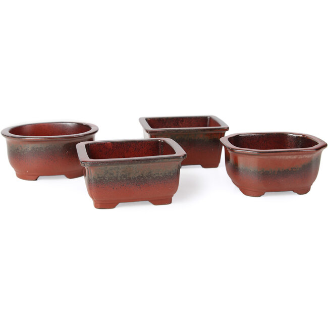 Ensemble de 4 pots à bonsaï rouges entre 100 et 106 mm de Seto Yaki, Japon.