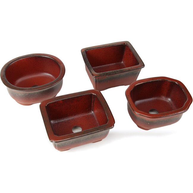 Set di 4 vasi bonsai rossi tra 100 e 106 mm da Seto Yaki, Giappone.