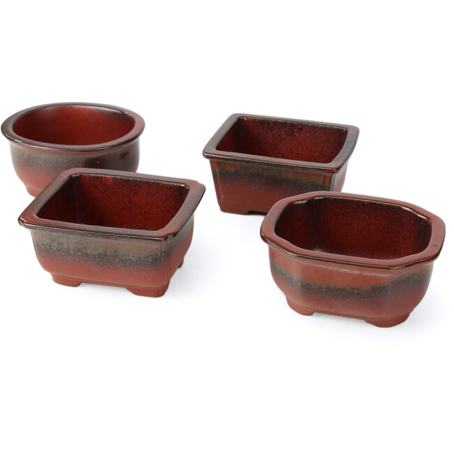 Set aus 4 roten Bonsaischalen zwischen 100 und 106 mm von Seto Yaki, Japan.