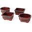 Set di 4 vasi bonsai rossi tra 100 e 106 mm da Seto Yaki, Giappone.