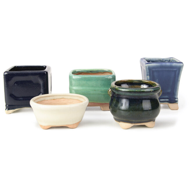 Set de 10 macetas de bonsai entre 52 y 79 mm de Seto Yaki, Japón.