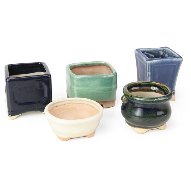 Set van 10 bonsaipotten tussen 52 en 79 mm van Seto Yaki, Japan.