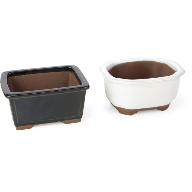 Set di 4 vasi bonsai tra 100 e 106 mm in verde, blu e bianco da Seto Yaki, Giappone.