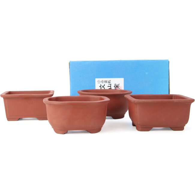 Set de 4 macetas de bonsái de entre 100 y 106 mm de Seto Yaki, Japón.