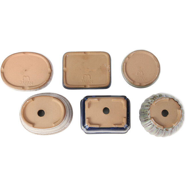 Set de 6 macetas de bonsái con platos de 98, 115 y 120 mm de Seto Yaki, Japón.