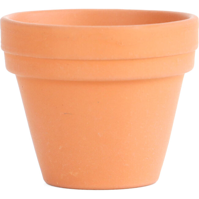 Terracotta training pot 35 mm