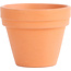 Other Japan Terracotta training pot 35 mm