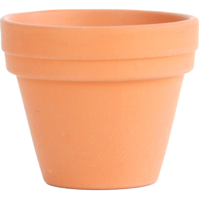 Terracotta training pot 35 mm