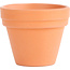 Terracotta training pot 35 mm