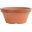  Other Japanese bonsai pot makers Terracotta training pot nr. 4,5 - 14,5 cm