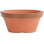 Maceta de terracota nº 4,5 - 14,5 cm