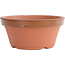 Maceta de entrenamiento de terracota nr. 6 | 18,5cm