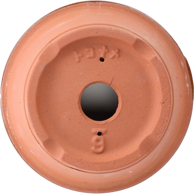 Maceta de entrenamiento de terracota nr. 6 | 18,5cm