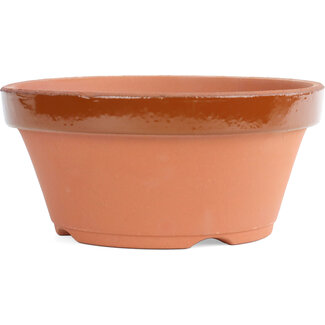  Other Japanese bonsai pot makers Maceta de entrenamiento de terracota nr. 7 | 22cm | Disponible solo en la tienda