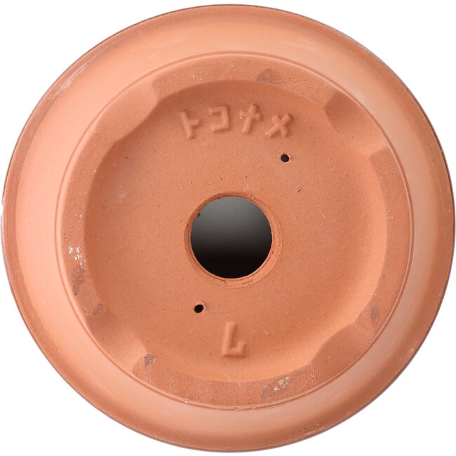 Terracotta trainingspot nr. 7 | 22cm