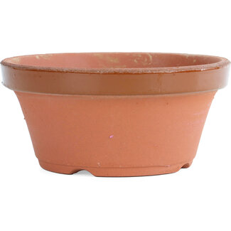  Other Japanese bonsai pot makers Maceta de entrenamiento de terracota nr. 8 | 25cm | Disponible solo en la tienda