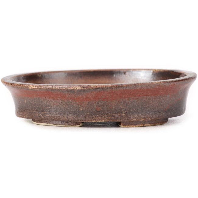 Maceta de bonsái marrón ovalada de Seto - 102 x 86 x 24 mm