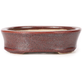 Seto 83 mm oval brown bonsai pot by Seto, Japan