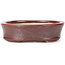 Pot à bonsaï ovale marron par Seto - 83 x 74 x 24 mm