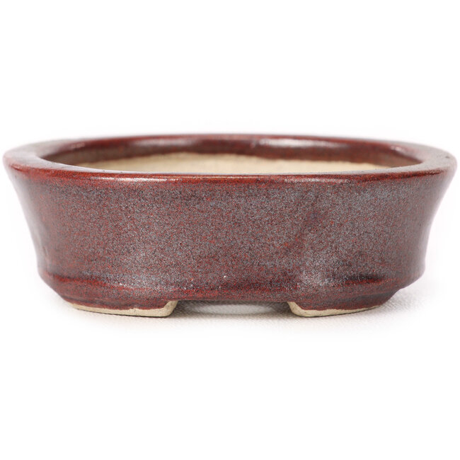 Ovale braune Bonsaischale von Seto - 83 x 74 x 24 mm