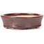 Oval brown bonsai pot by Seto - 83 x 74 x 24 mm