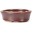 Oval brown bonsai pot by Seto - 83 x 74 x 24 mm